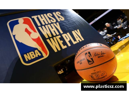DB视讯NBA观赛团：激情篮球之旅 - 副本